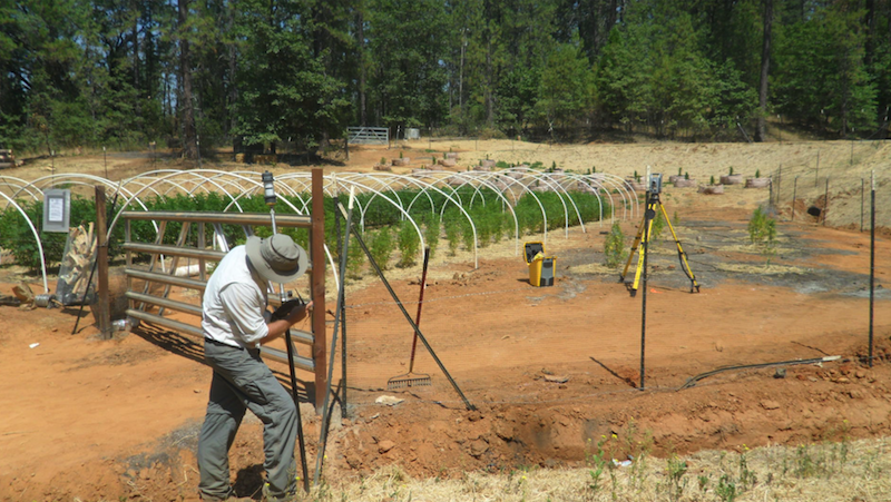 cannabis consultants helping client get a cannabis cultivation license in California