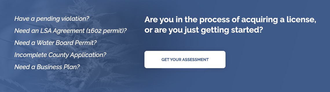 cannabis assessment