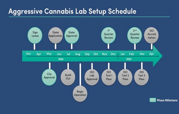 cannabis case studies