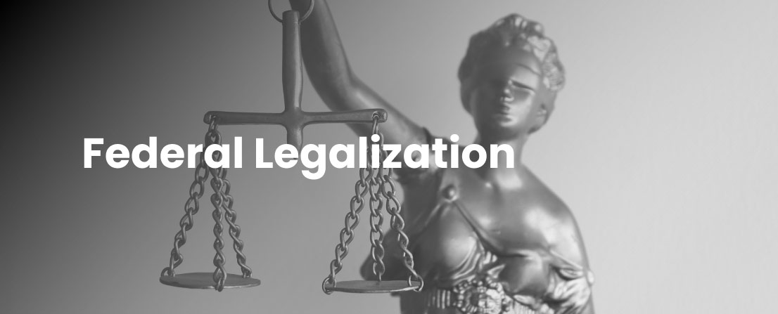 cannabis market review federal legalization