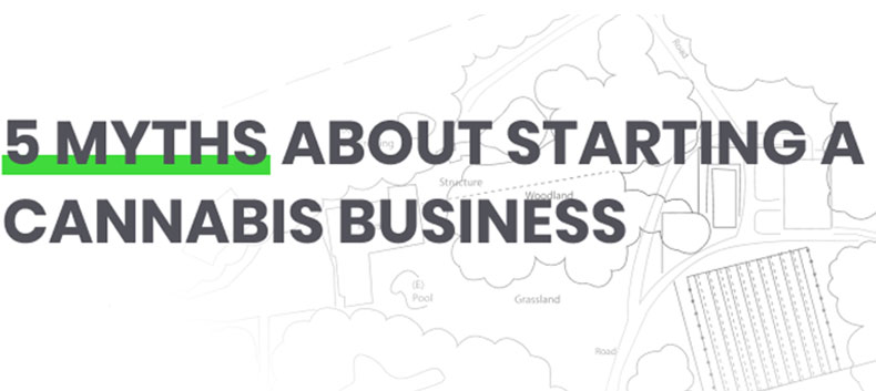 cannabis business misconceptions