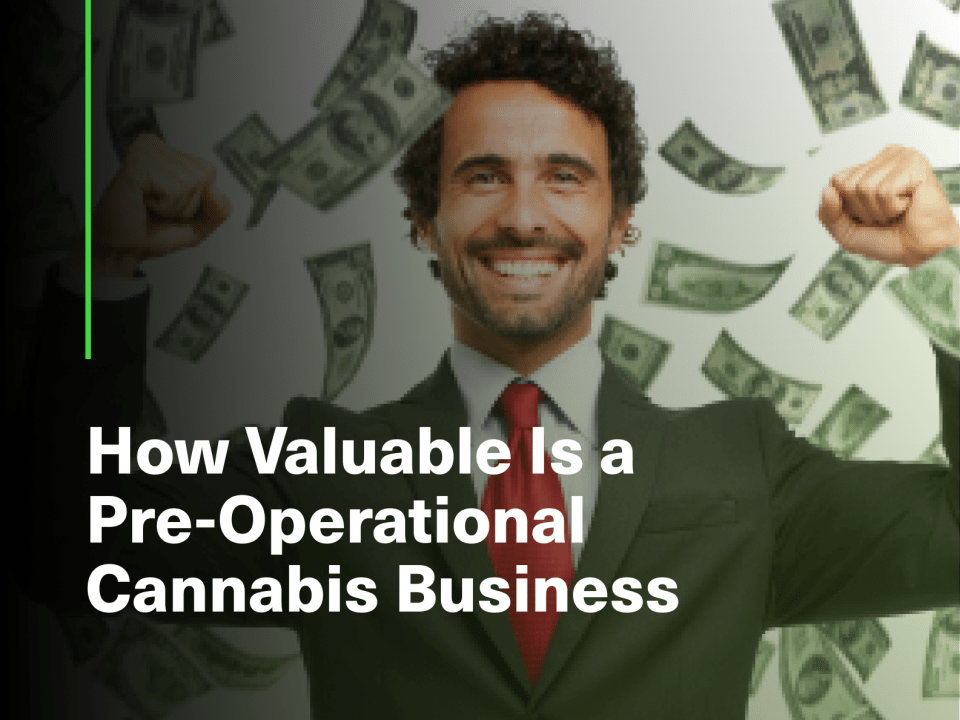 Pre-Operational Cannabis Business