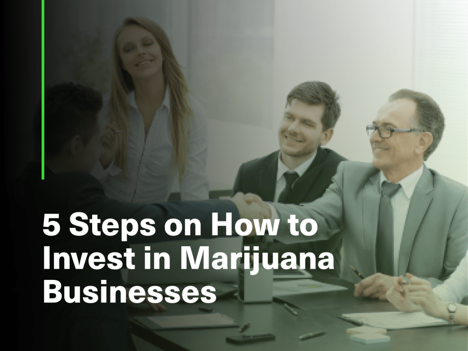 5 STEPS ON HOW TO INVEST IN MARIJUANA BUSINESSES
