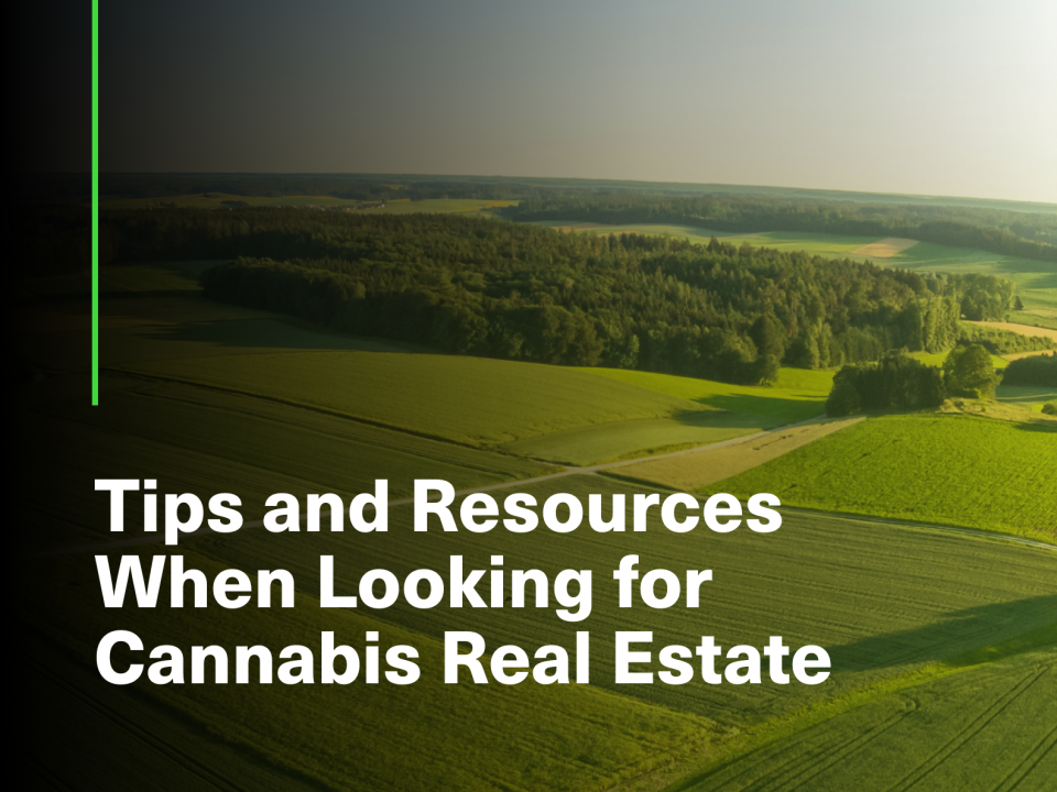 Cannabis Real Estate