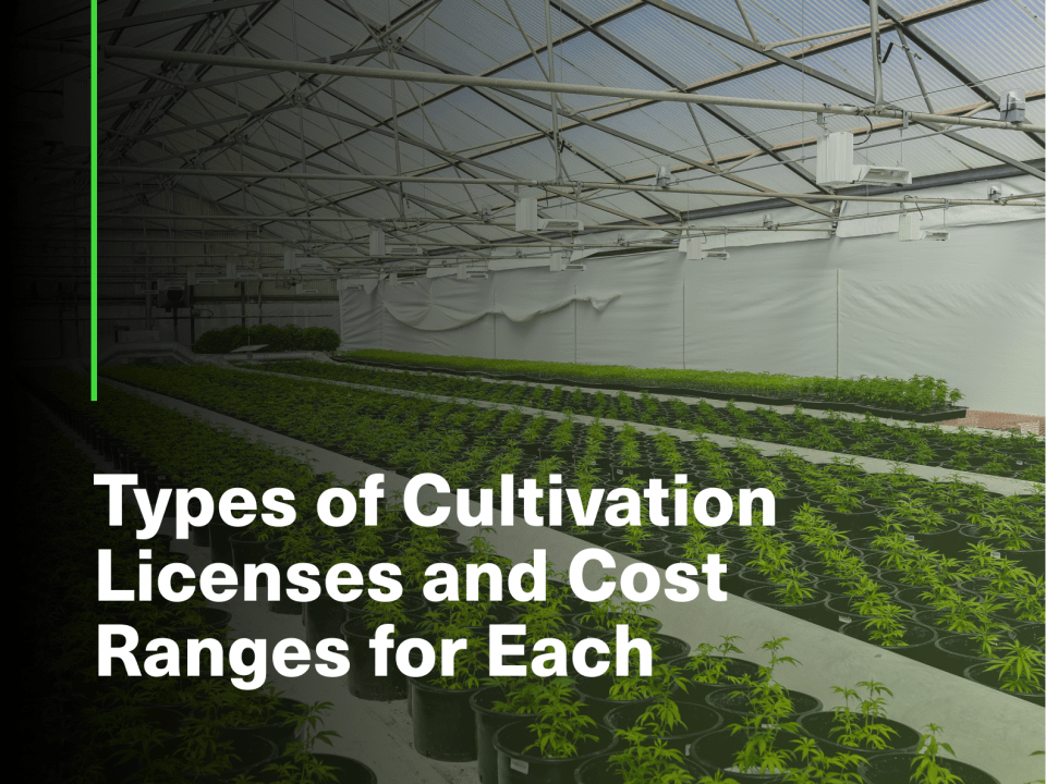 types of cultivation license