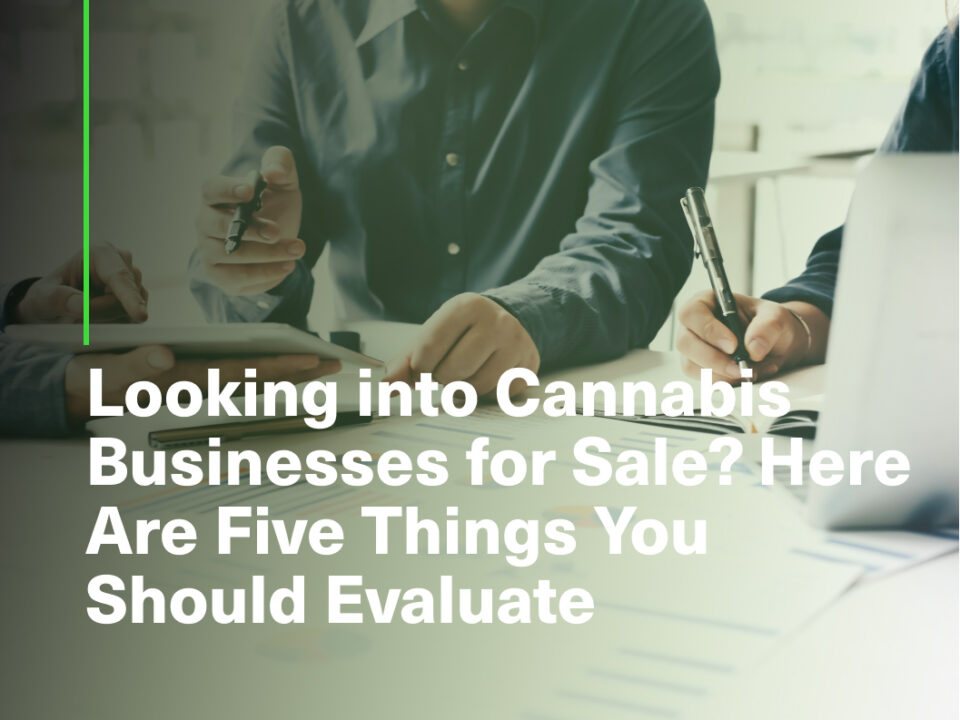 Cannabis Businesses