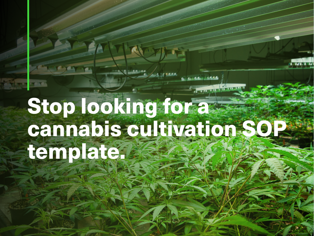 stop-looking-for-a-cannabis-cultivation-sop-template