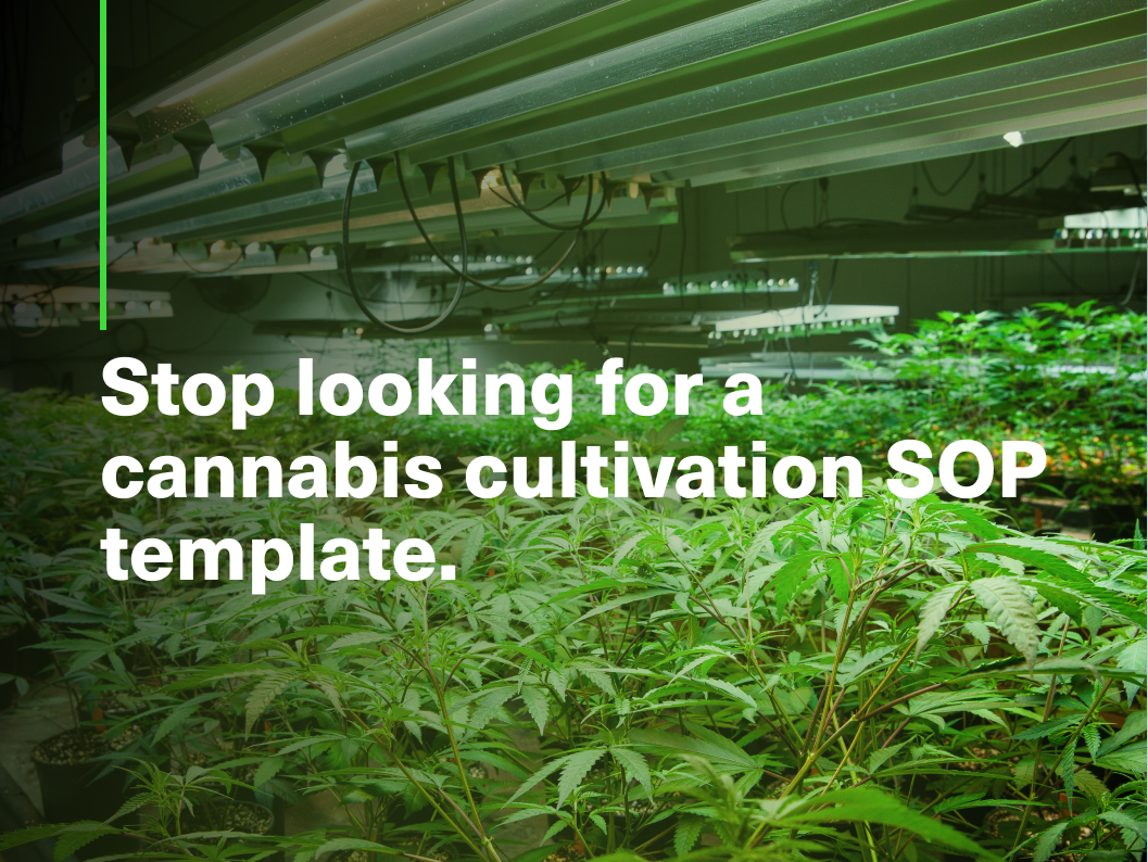 Stop Looking For a Cannabis Cultivation SOP Template