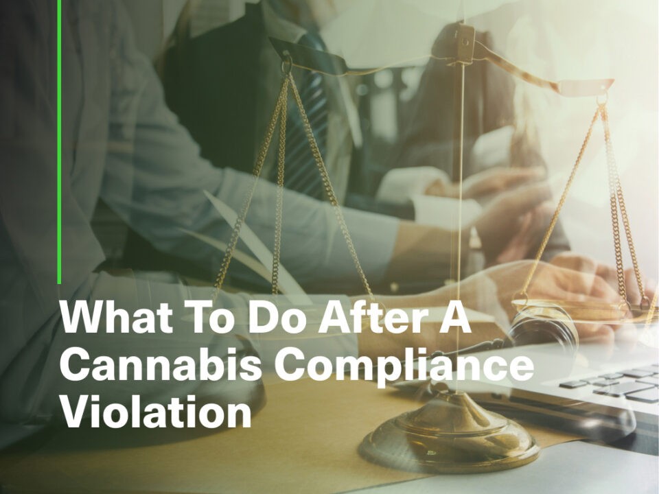 cannabis compliance violations