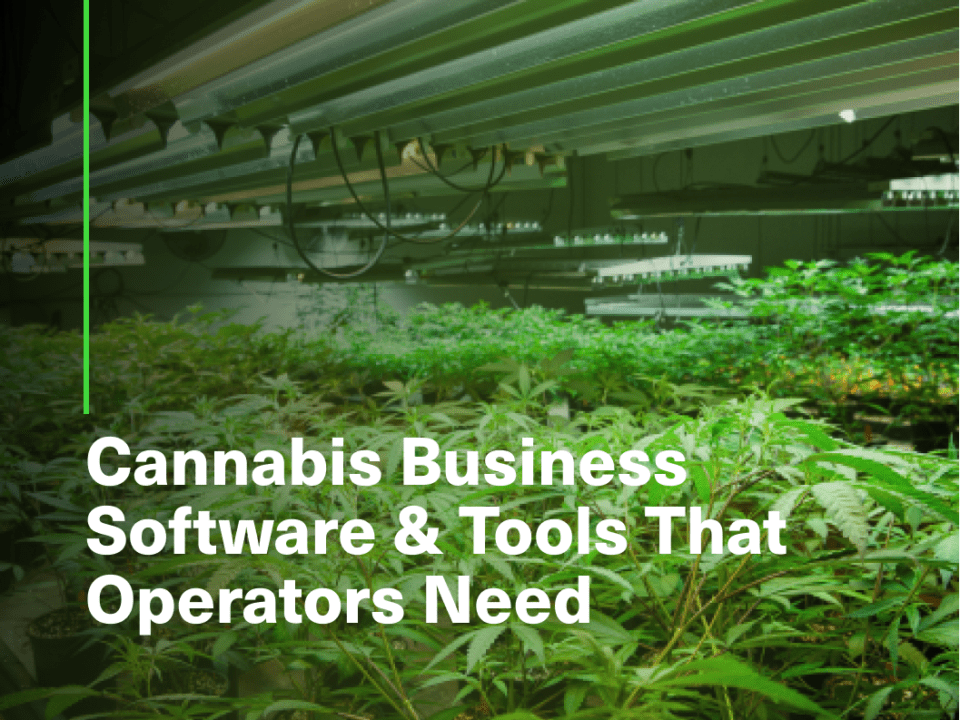 cannabis business software & tools that operators need